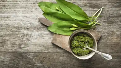 Bärlauchpesto