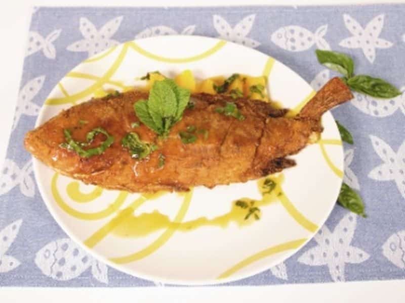 Red Snapper