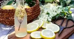 Holunderblütensirup