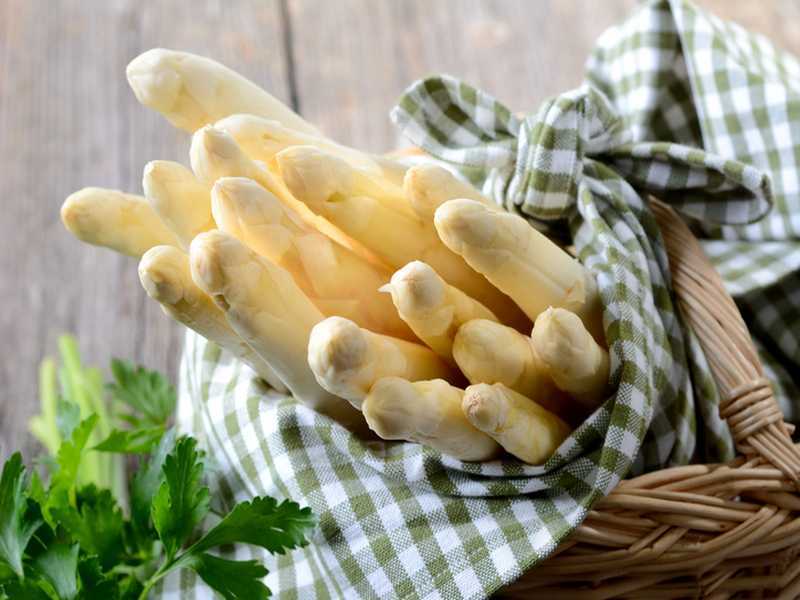 Spargel