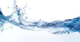 Wasser