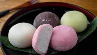 Mochi