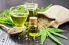Cannabis in der Küche