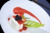 Panacotta