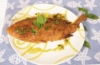 Red Snapper