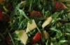 Mango - Avocado - Salat